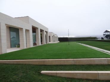 Artificial Grass Photos: Artificial Pet Grass Ladera Heights California Lawns